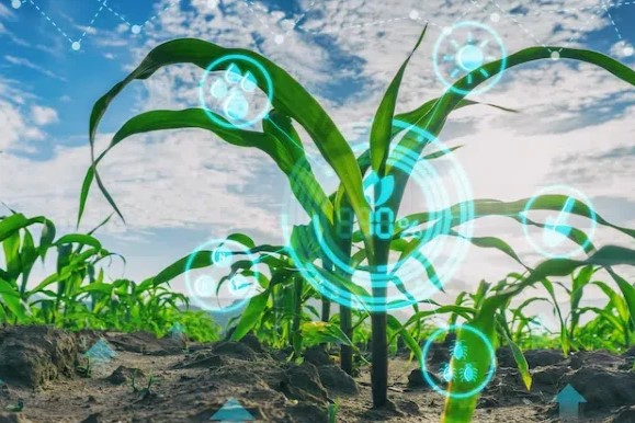 AI for a Greener Planet